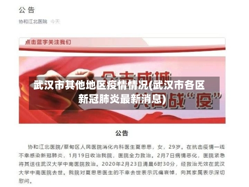 武汉市其他地区疫情情况(武汉市各区新冠肺炎最新消息)-第2张图片