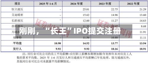 刚刚，“长王	”IPO提交注册-第2张图片