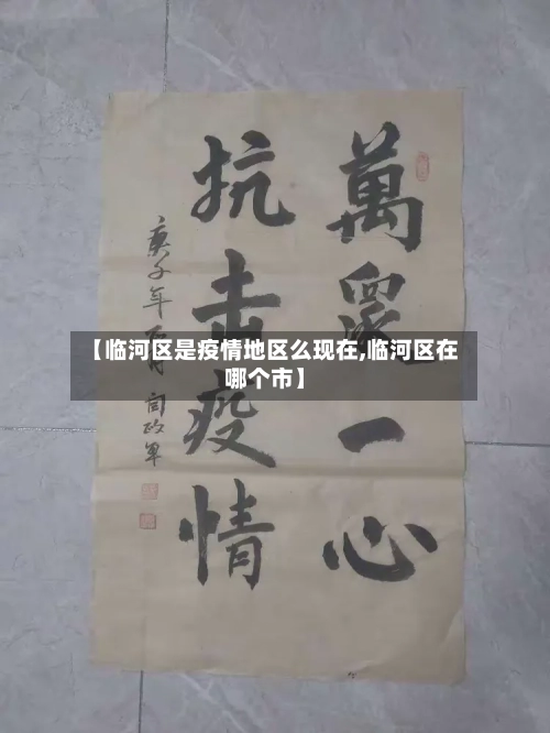 【临河区是疫情地区么现在,临河区在哪个市】-第3张图片