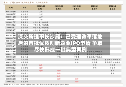深交所理事长沙雁:已受理改革落地后的首批优质创新企业IPO申请 争取尽快形成一批典型案例-第2张图片