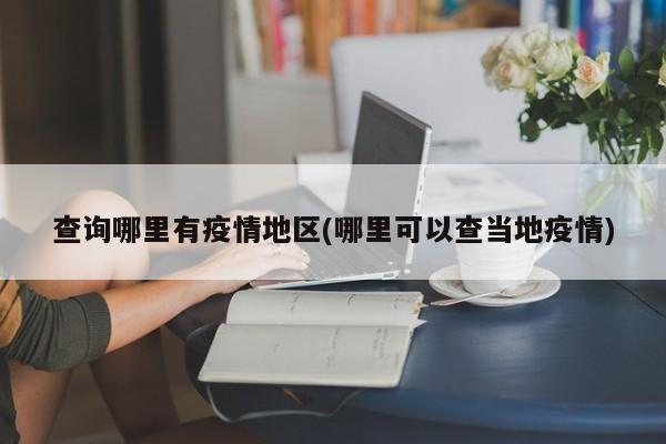 查询哪里有疫情地区(哪里可以查当地疫情)